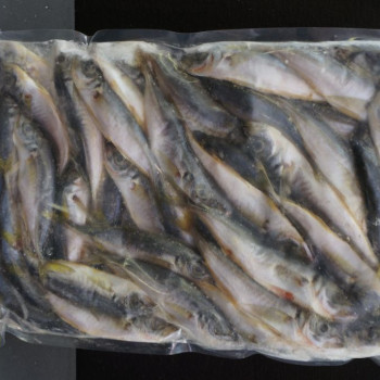 Черноморская Ставрида С/М В/У по 1 кг