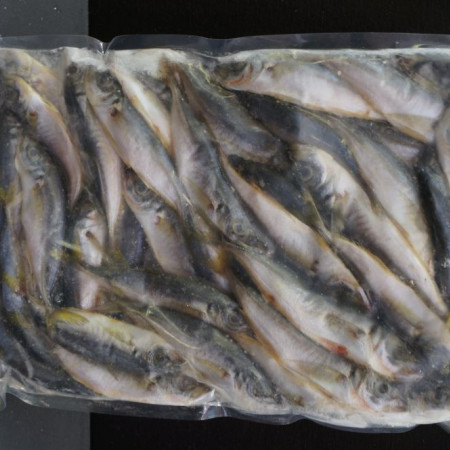 Черноморская Ставрида С/М В/У по 1 кг