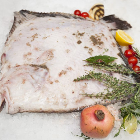 Камбала "Калкан" 