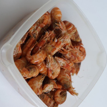 Шримс Медвежонок